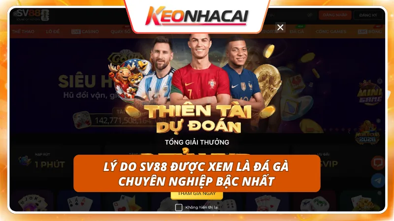 Tỷ lệ cược chiến kê cạnh tranh bậc nhất thị trường hiện nay