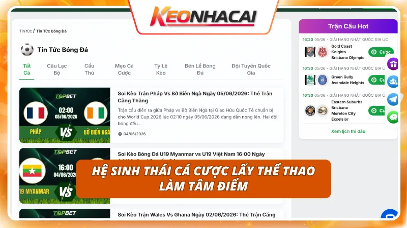 Xây dựng kho trò chơi xoay quanh các giải đấu thể thao hấp dẫn