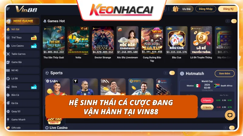 Tổng hợp toàn bộ các thể loại giải trí hot nhất vào một tài khoản