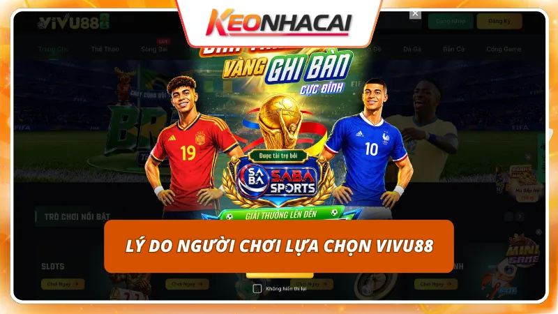 Vận hành trang cược chuyên nghiệp làm hài lòng mọi khách chơi