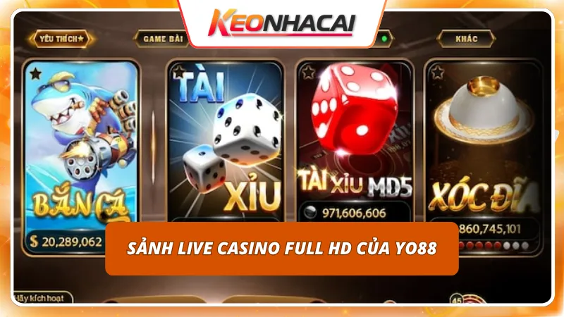 Bàn chơi chuyên nghiệp mang đến trải nghiệm sòng bài chân thực