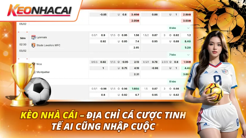 Hành Trình Hình Thành Từ Nhu Cầu Quan Sát Thực Tế